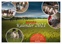 Beweka Kalender 2021, grafische Gestaltung, Fotografie | Anne Schulz Gestaltung
